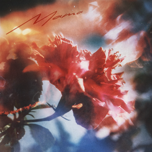 女上位高潮疯狂国产AV
