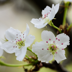 女上位高潮疯狂国产AV
